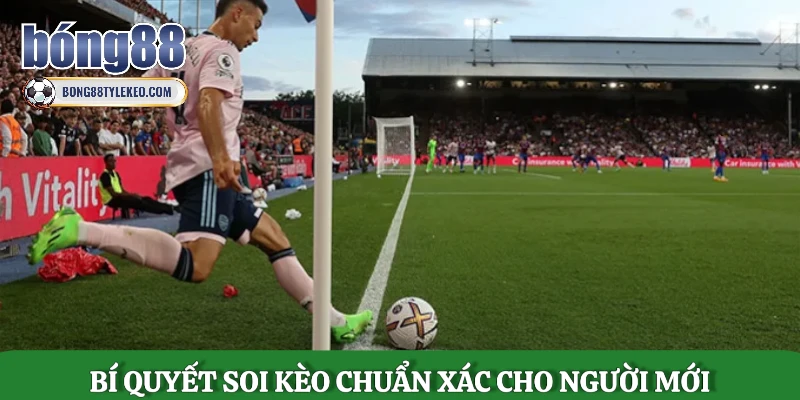 bi-quyet-soi-keo-chuan-xac-cho-nguoi-moi