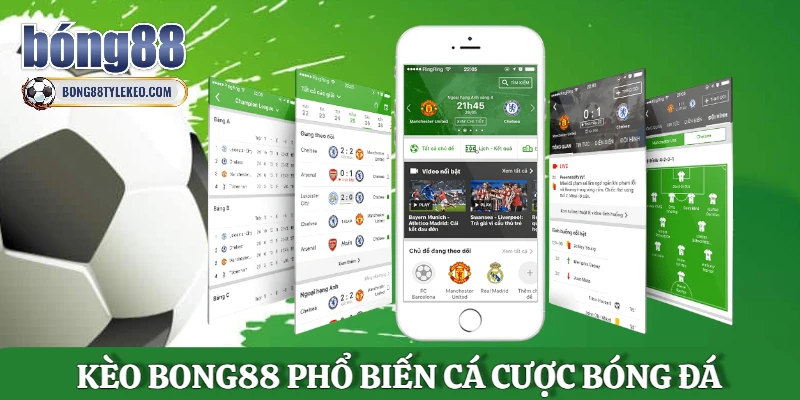 cac-loai-keo-bong88-pho-bien-trong-ca-cuoc-bong-da