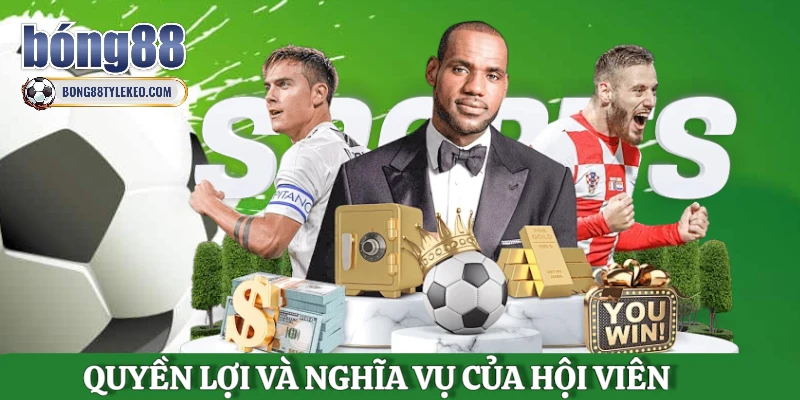 quyen-loi-va-nghia-vu-cua-thanh-vien