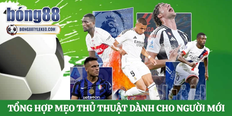 tong-hop-meo-thu-thuat-danh-cho-nguoi-moi