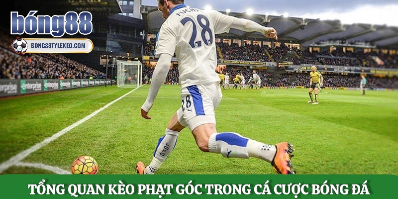 tong-quan-keo-phat-goc-trong-ca-cuoc-bong-da