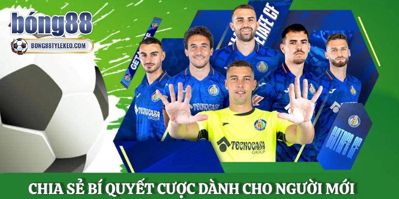 tong-quan-nhung-bi-quyet-cuoc-danh-cho-nguoi-moi